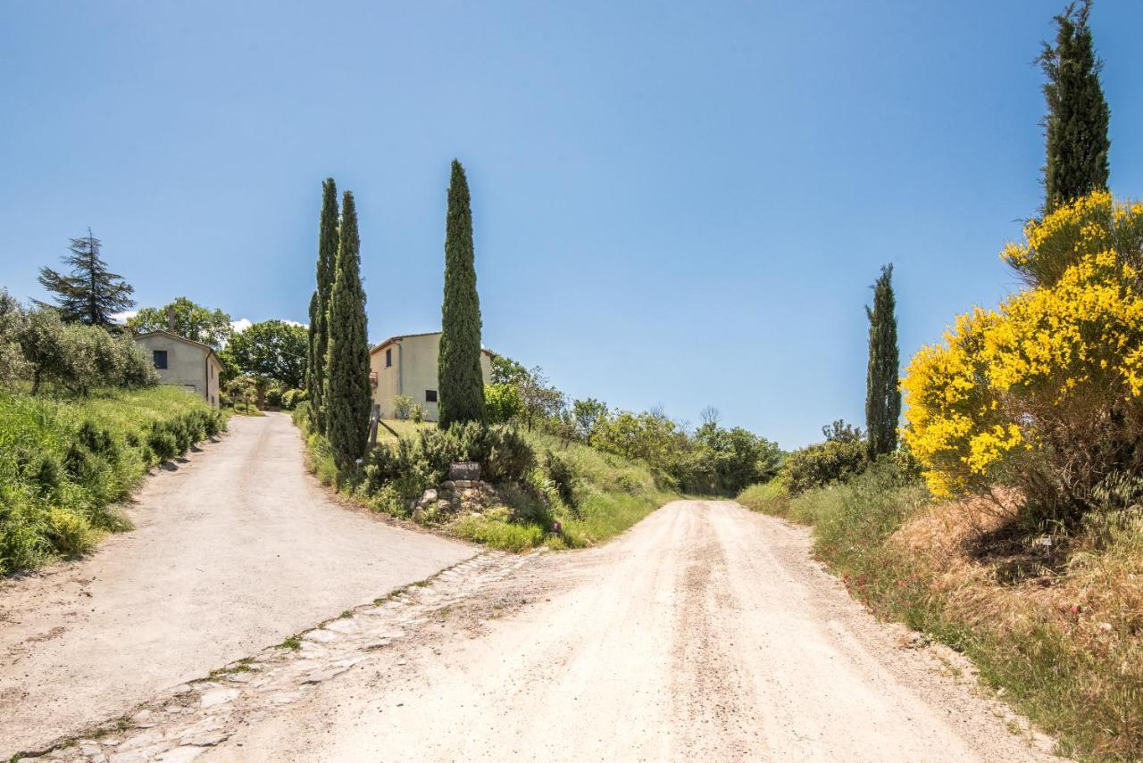 Appartamento Gemma Verde-Tavoleto Castiglione dʼOrcia Exterior foto